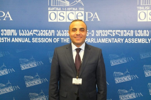 Azay Quliyev ATƏT-də vitse-prezident seçildi