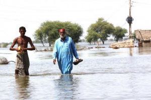 21 nəfər yağışdan  öldü- Pakistanda
