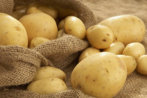 Kartofa gömrük rüsumu 2 dəfə artırıldı