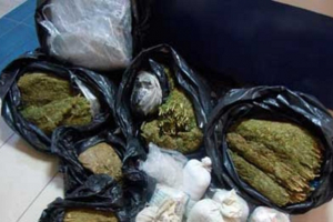 17 tona yaxın narkotik vasitəni məhv edildi