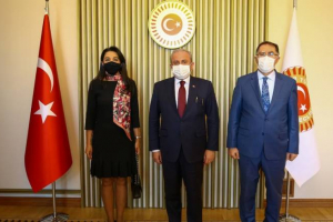 Azərbaycan Ombudsmanı Türkiyə parlamentinin sədri ilə görüşüb