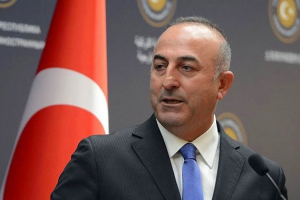 Türkiyənin 32 diplomatı yoxa çıxıb