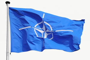 NATO üzvləri Tbilisidə toplanır