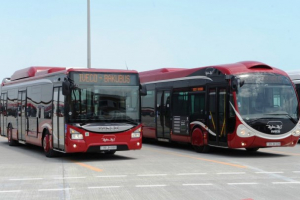 `Baku Bus`ın sürücüsü qəza törətdi - Qadın öldü