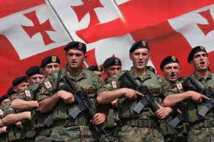 Gürcüstanda hərbi xidmət könüllü olacaq