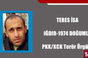 Daha bir PKK lideri öldürüldü