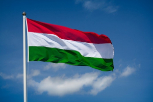 Respublika Günü Macarıstanda qeyd olunub