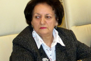 Elmira Süleymanova hesabat verdi