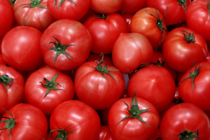 Azərbaycanda istehsal olunan pomidorun 20-25%-i Rusiyaya satılıb